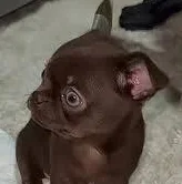 ShellshockNam92 - @ZiomPolski: