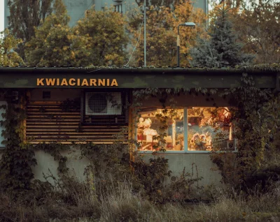 LoopyMajestic - #fotografia
#chwalesie
#tworczoscwlasna
#nikon
#streetphotography