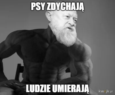 Andrzej_Buzdygan - @WielkiNos: Tymczasem Bralczyk: Siedzi w wygodnym fotelu w swojej ...