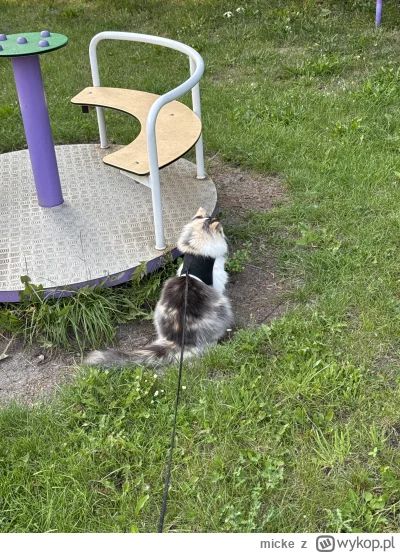 micke - @RicoElectrico no siema ( ͡° ͜ʖ ͡°)