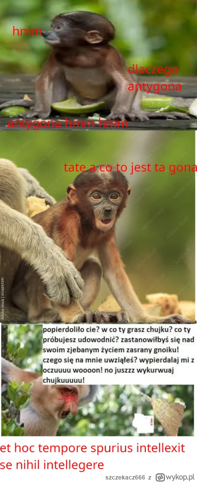 szczekacz666 - #konkursnanajbardziejgownianymemznosaczem