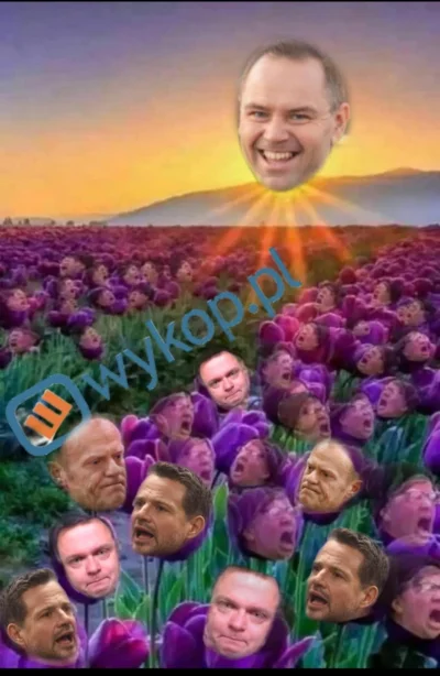 smutny_kojot - Dzień dobry słoneczka ( ͡° ͜ʖ ͡°)

#dziendobry #polityka