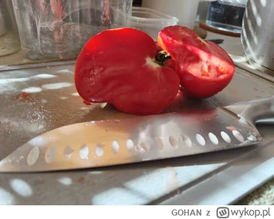 GOHAN - POMODORO CUORE ANTICO DI ACQUI TERME - Surowych pomidorów nie jadam, ale w do...