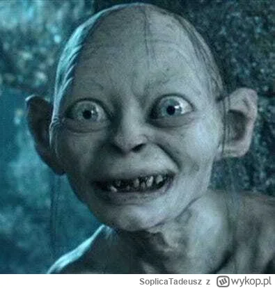 SoplicaTadeusz - #harrypotter Co ma w kieszeni?