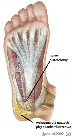 marek2092 - #mecz nerwy na pięcie