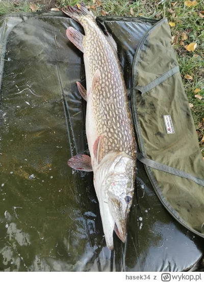 hasek34 - #wedkarstwo
Ale knaga