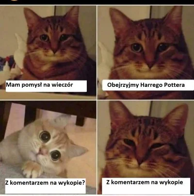 malyatakpaniki - Witam na drugiej części (｡◕‿‿◕｡) #harrypotter