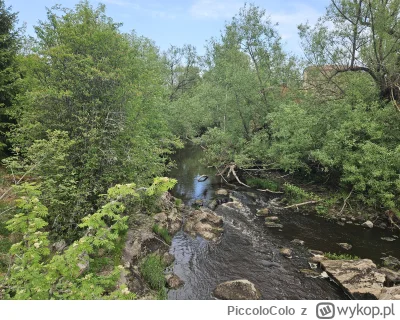 PiccoloColo - Spierdotripen machen. Pięknie i pachnąco po burzy. 

#spierdotrip