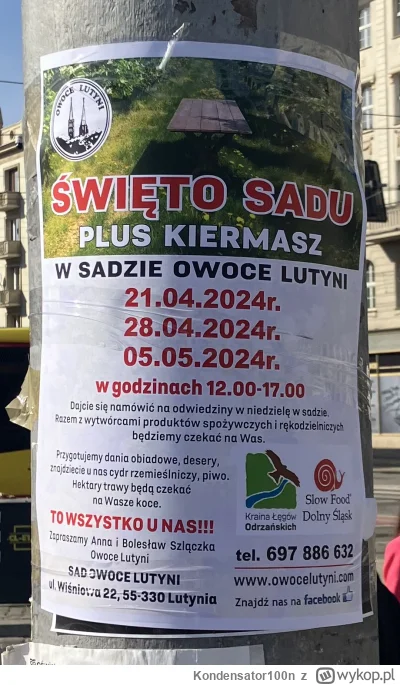 Kondensator100n - @Extaco: może takie coś? Wpadło mi w oko na słupie przy Głównym i s...