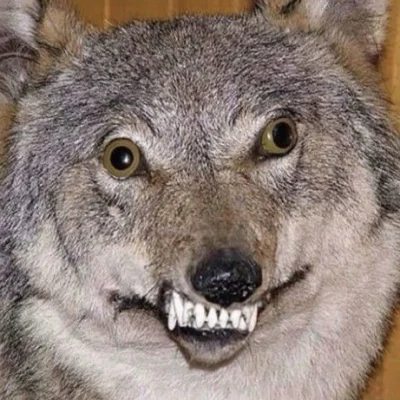 JDMarik - @JDMarik: widzowie dotarły do mnie bardzo ciekawe informacje na temat pewny...