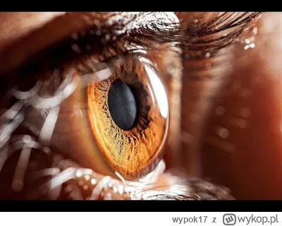 wypok17 - Sami widzicie, sam obiektyw zepsuł a poucza operatora Jakubiaka jak ma robi...