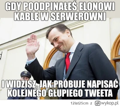 12lat25cm - #polityka #heheszki #humorobrazkowy