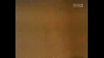 GrubyPrezes - @Jodmen: sądzę że ta zawiść i skłonności do donoszenia zostały wyniesio...