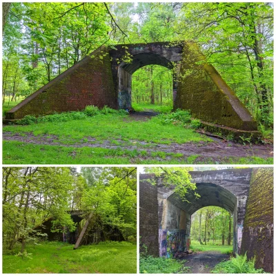 sylwke3100 - Most cygański - nigdy nieużywany wiadukt kolejowy położony w lesie Gniot...