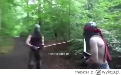 trebeter - #trzecieoko #wiedzmin

https://dubz.link/c/a77f99