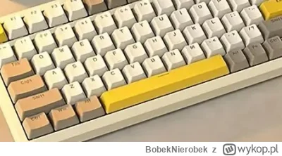 BobekNierobek - #pcmasterrace

Pytanko o klawiatury mechaniczne. Widzę, że u majfrend...