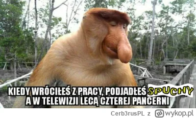 Cerb3rusPL - #konkursnanajbardziejgownianymemznosaczem