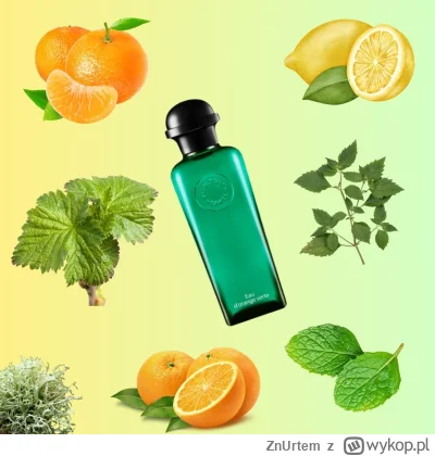 ZnUrtem - #perfumy
Na Brasty wleciał dzisiaj baniaczek Hermès Eau D'Orange Verte woda...