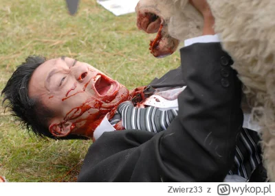 Zwierz33 - @Mikel945: I jak żyje huop ? Dal radę ? (ง ͠° ͟ل͜ ͡°)ง