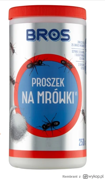 Rembrant - @Peter_Mountain