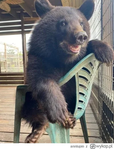 annlupin - ciekawe co tam na nocnej