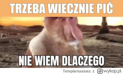 Templariuuuusz - #konkursnanajbardziejgownianymemznosaczem