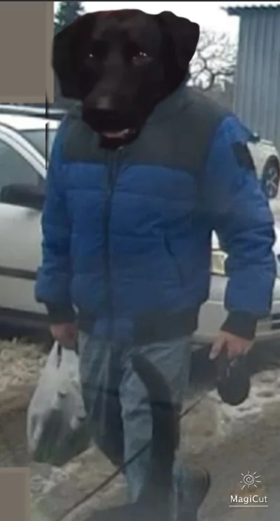 czlowiekzlisciemnaglowie - Nawiedził cię redaktor Aron od psa Jacka - zaplusuj koment...