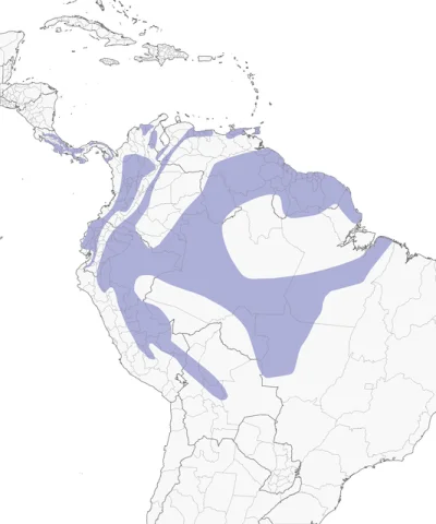 Lifelike - Zasięg występowania: