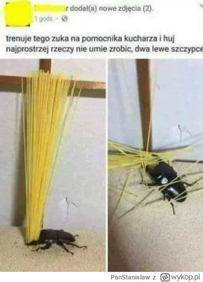 PanStanislaw - @bibi__: