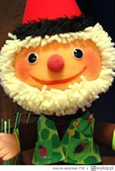 marek-wozniak-750 - taki z Kubusia dziennikarz jak z koziej d...y traba :)