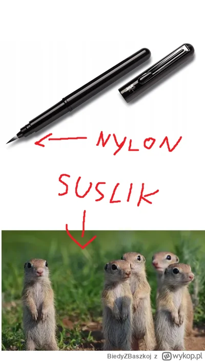 BiedyZBaszkoj - Pentel - GFKP Brush Pen

wykonane z plastiku ale ladne.  pedzel maly ...