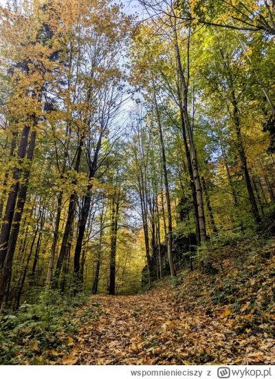 wspomnienieciszy - #gory #sudety