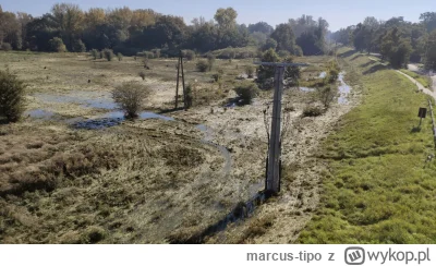 marcus-tipo - A tu z dzisiaj, jak się nie mylę to poziom niższy o 80cm