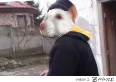 Snajpi - No to chodź Pioter. Zapraszam do Wiru. Tu jest Wir do szczurolandii. Do Wiru...