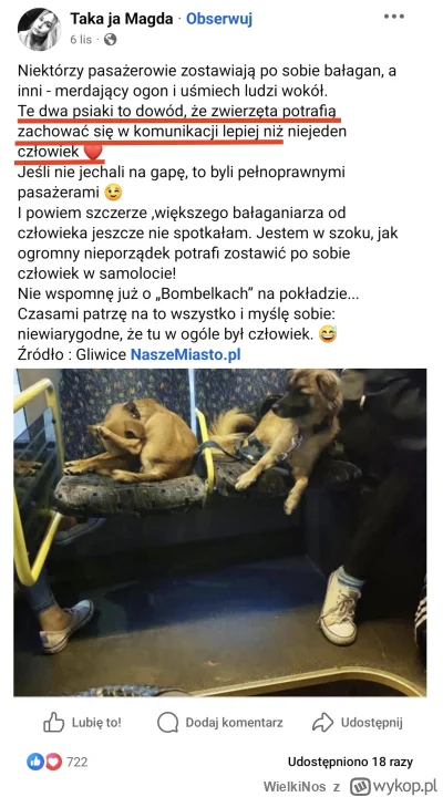 WielkiNos - Pies zachowuje się w autobusie lepiej niż człowiek i zdjęcie liżącego swó...