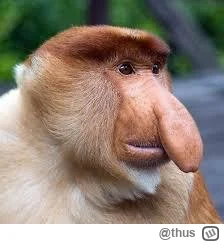 thus - Jako janusz-inwestor na #gielda posiadający akcje #cdprojekt proszę, aby ktoś ...