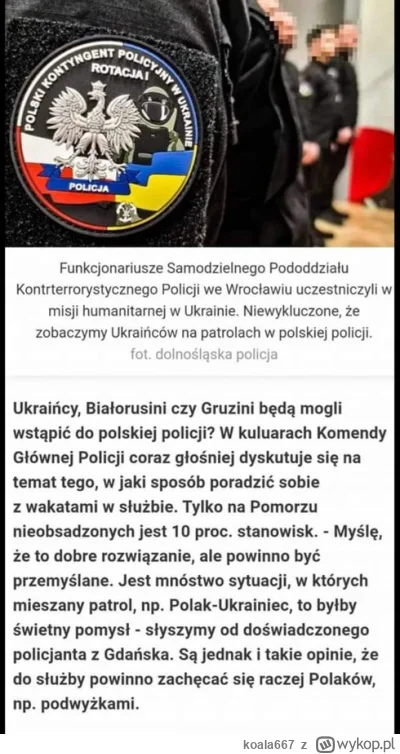 koala667 - Ktoś jest chyba chory na głowę ¯\(ツ)/¯

#imigranci #ukraina #polska #multi...