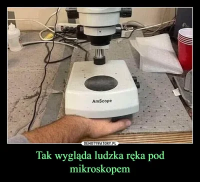 HardWax - #pasjonaciubogiegozartu