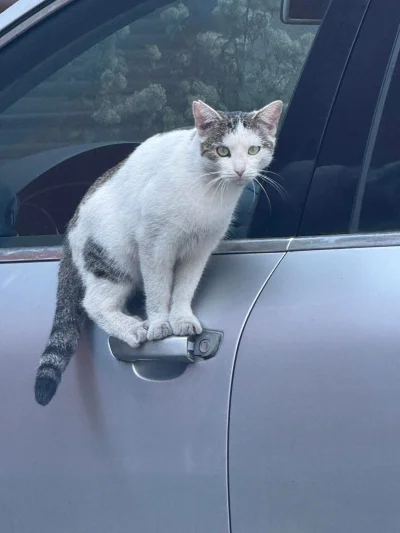 maiakicklighter - @simpiara