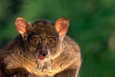 Moczymorda77 - @Bimbas: