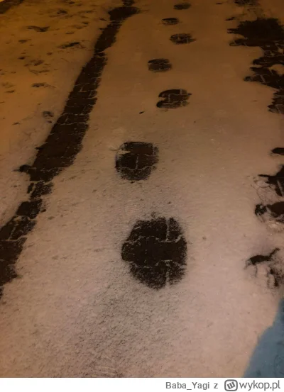 BabaYagi - @BabaYagi: