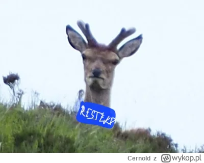 Cernold - #heheszki #mecz #pilkanozna

Tego wszyscy chcą