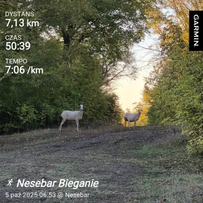 Hektar4 - 10 248,11 - 7,13 = 10 240,98

Poranny bieg na pobliską górkę ( ͡° ͜ʖ ͡°) w ...