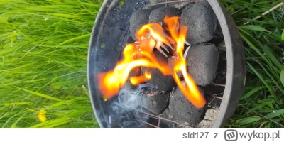 sid127 - widelcami pierwszy raz rozpalałem grilla