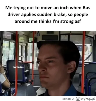 pekas - #pasjonaciubogiegozartu #humor 


( ͡~ ͜ʖ ͡°)