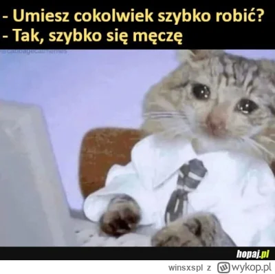 winsxspl - Sargeant teraz #f1 #koty