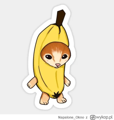 Napalone_Okno - Chłop dzwonił do tego w sprawie pracy na ochronie to nic nie odbierał...