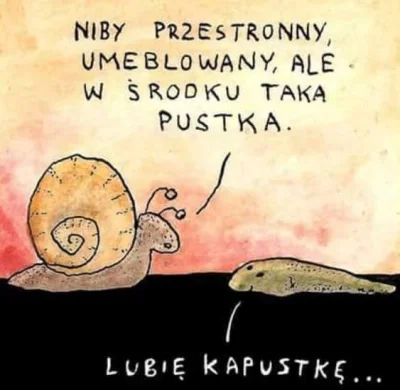 PorzeczkowySok