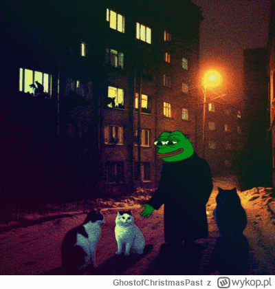 GhostofChristmasPast - #pepe
#nocnazmiana
#pokazkota
#przegryw