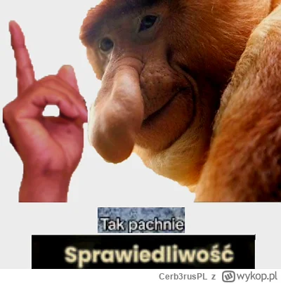 Cerb3rusPL - @pawello321: